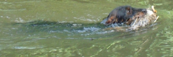 wasser2
