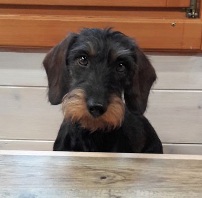 Trudi2